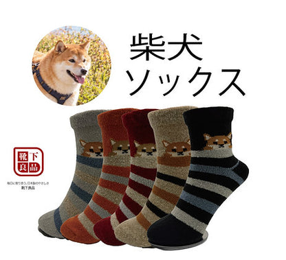 Shiba Inu Border Socks