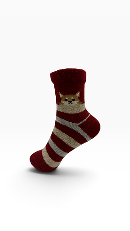 Shiba Inu Border Socks