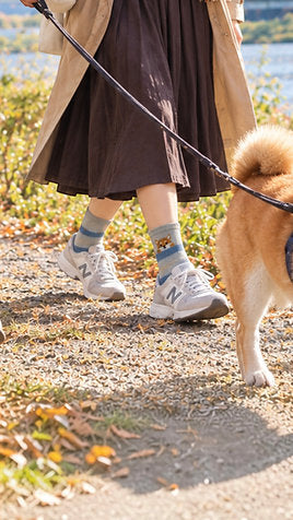 Shiba Inu Border Socks