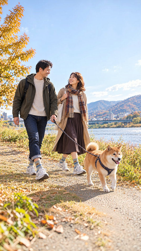 Shiba Inu Border Socks